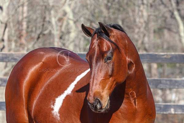 kid-safe-paint-horse