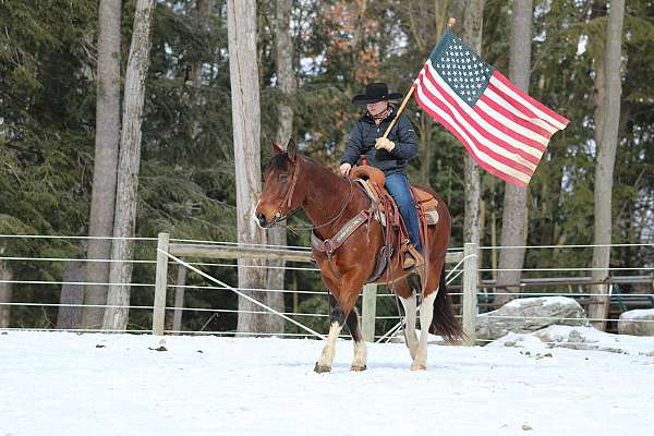 ranch-versatility-paint-horse