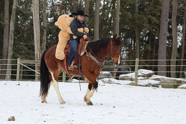 ranch-work-paint-horse