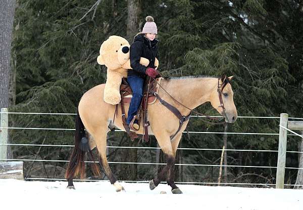 ranch-versatility-quarter-horse