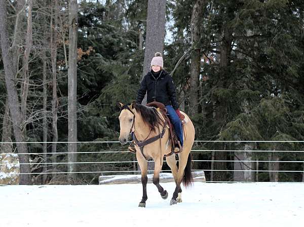 ranch-work-quarter-horse