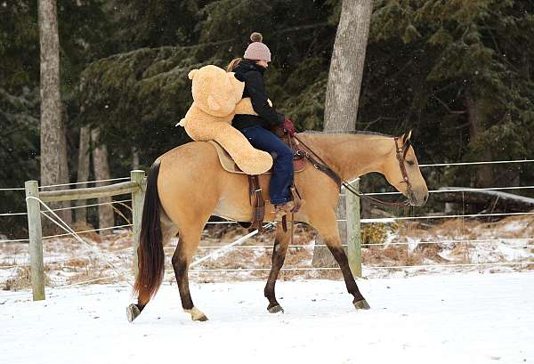 roping-quarter-horse