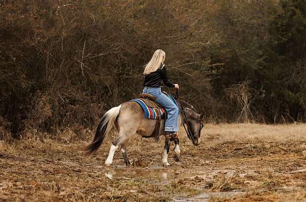 kid-safe-pony