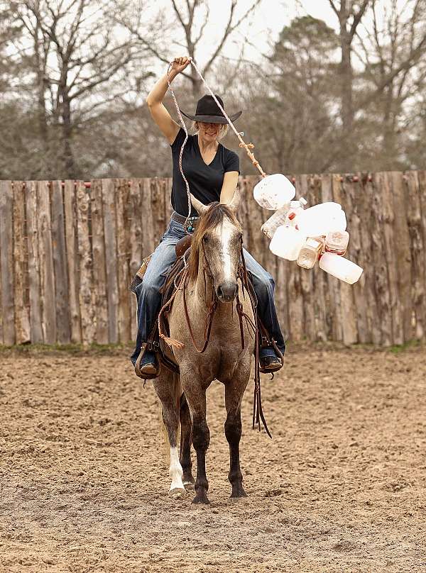 flashy-quarter-horse