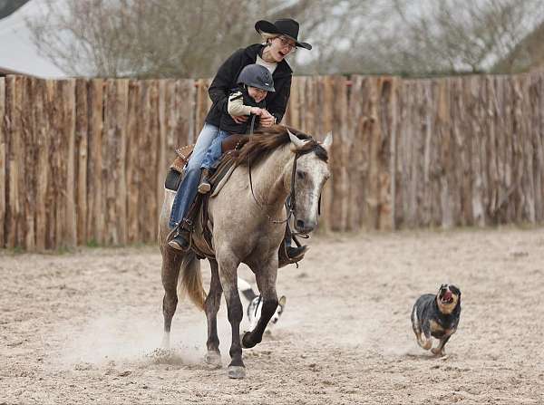 ridden-western-quarter-horse