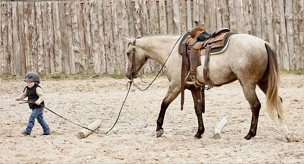 roping-quarter-horse