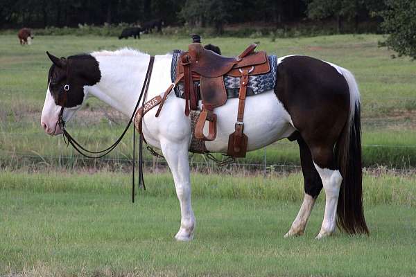 cross-draft-horse