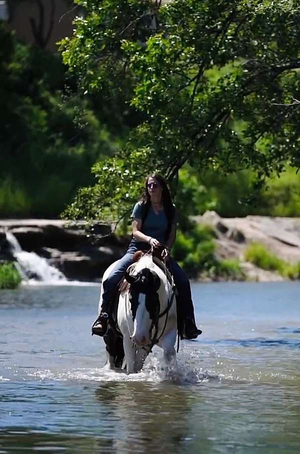 husband-safe-draft-horse