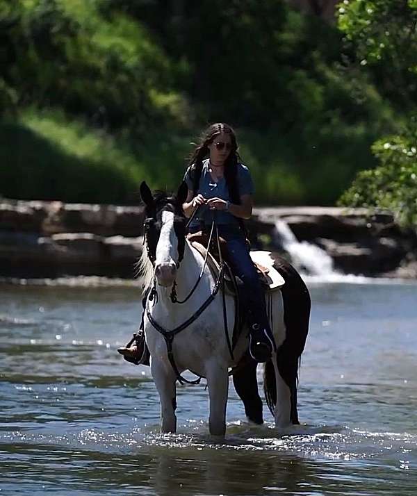 jumping-draft-horse