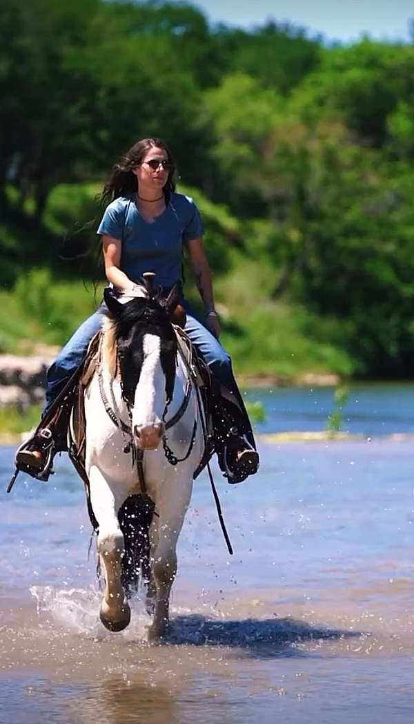 kid-safe-draft-horse