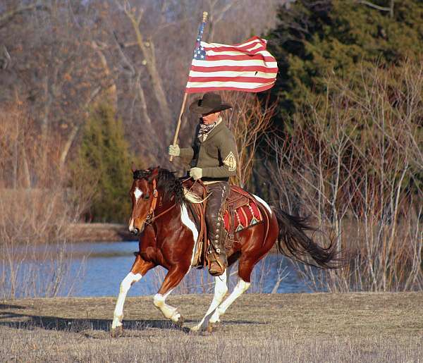 barrel-racing-paint-pony