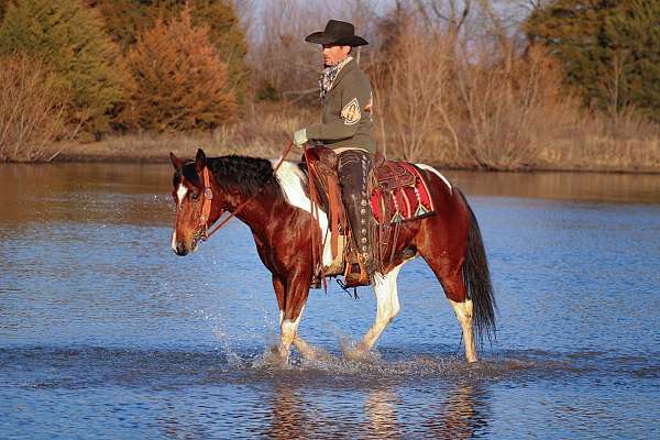 ranch-work-paint-pony