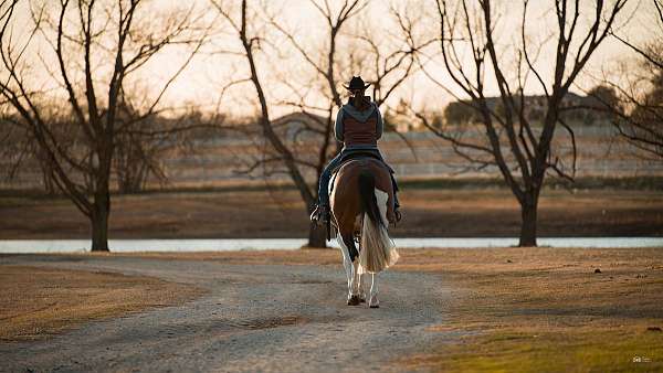 trail-riding-quarter-horse