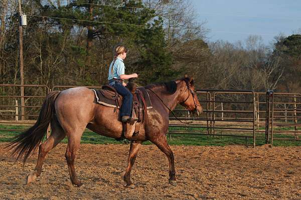 ranch-versatility-quarter-horse