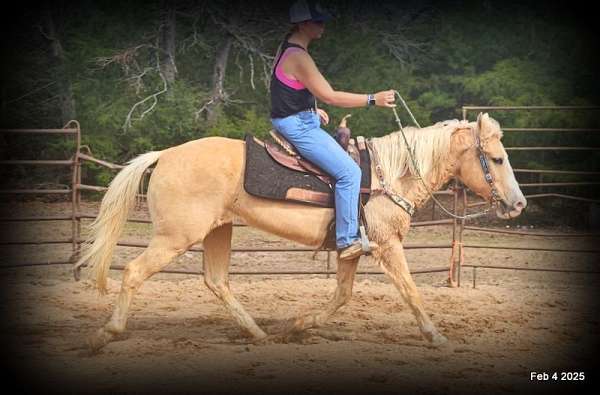 kids-palomino-horse