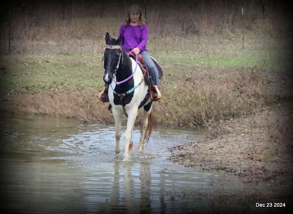 kids-spotted-horse