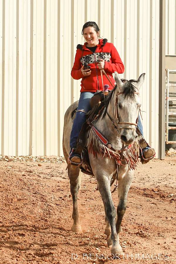 team-roping-azteca-horse