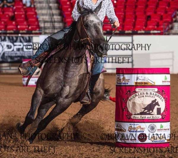 team-roping-quarter-horse