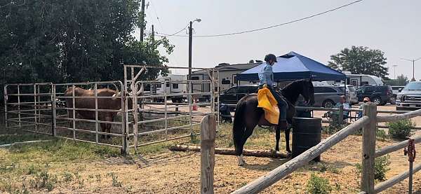 barrel-racing-quarter-pony