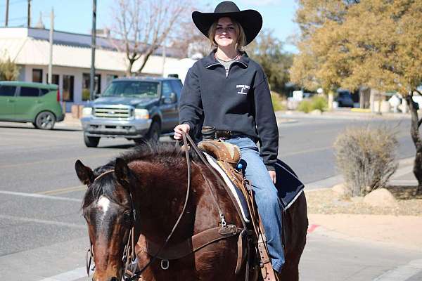 athletic-quarter-horse