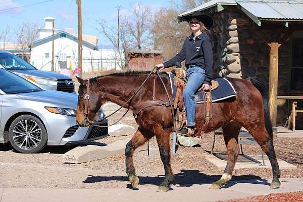 flashy-quarter-horse