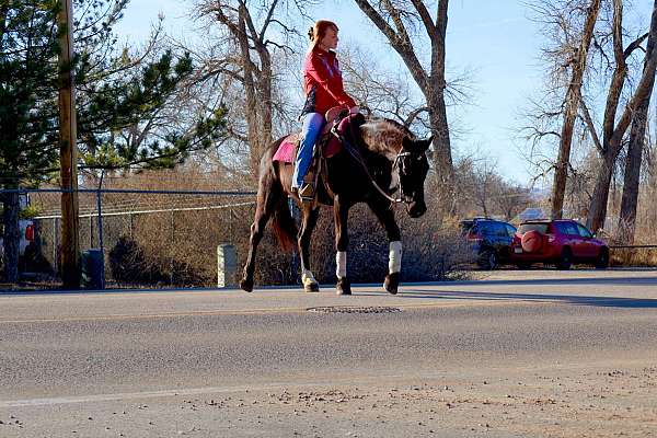 flashy-quarter-horse