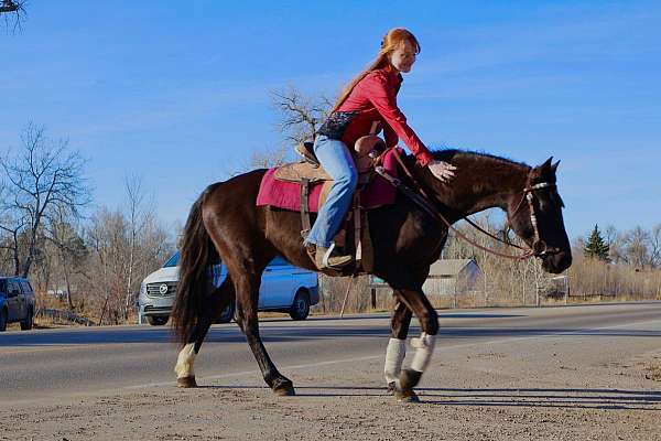 flemingsburg-quarter-horse