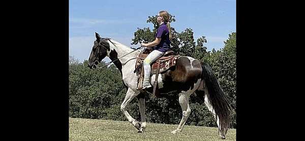 harness-paint-horse