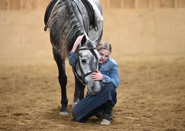 field-trial-quarter-pony