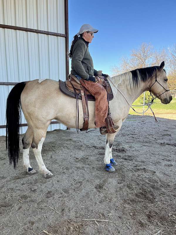 buckskin-paint-horse