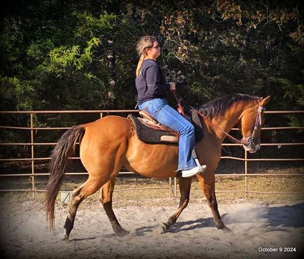 family-quarter-horse