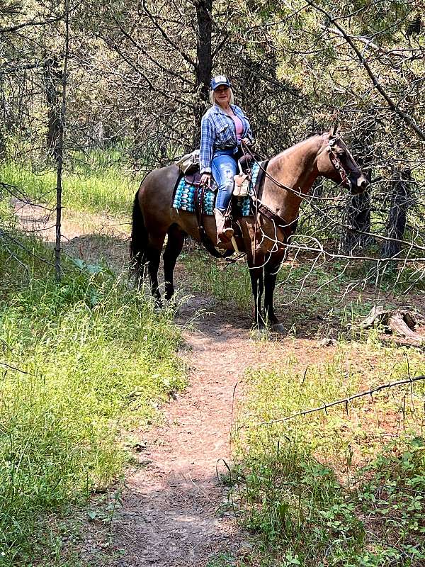 family-horse-quarter