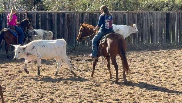 do-anything-quarter-pony