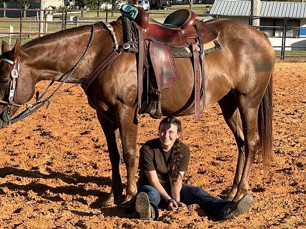 chestnut-star-horse