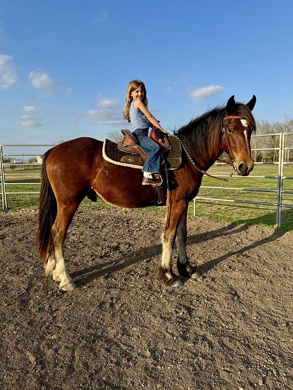 gun-safe-draft-horse