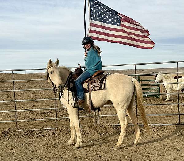 kid-safe-morgan-horse