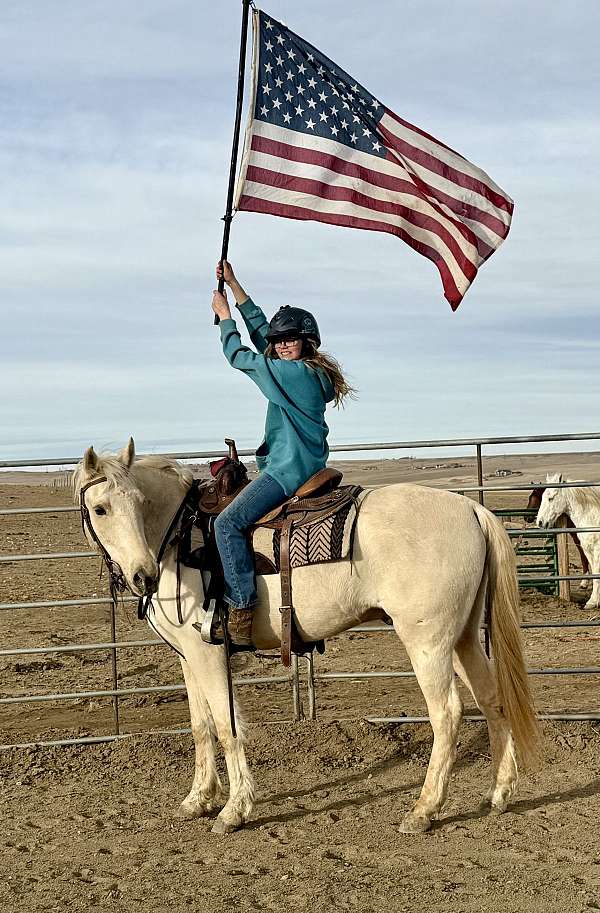 english-morgan-horse