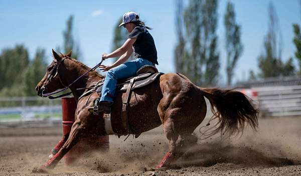 barrel-racing-quarter-horse