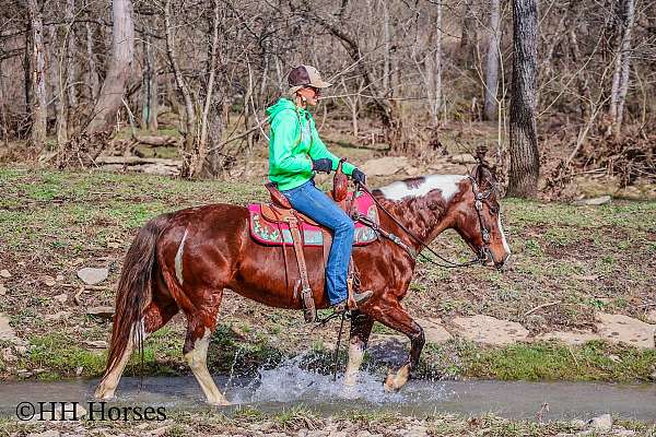 loves-to-trail-ride-paint-horse