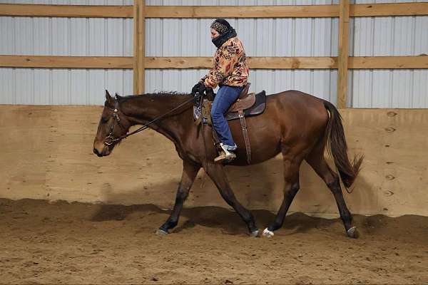 family-horse-quarter