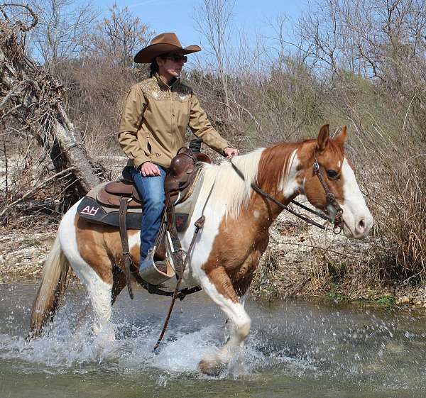 barrel-racing-paint-horse