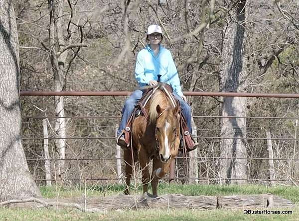 husband-safe-palomino-horse