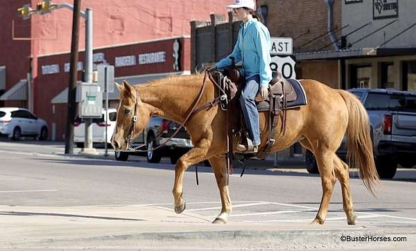 kid-safe-palomino-horse