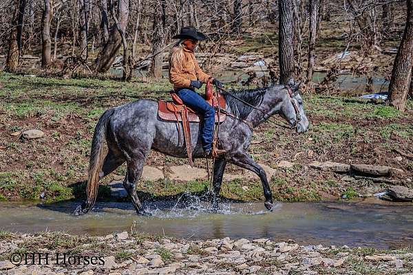 ranch-work-quarter-horse