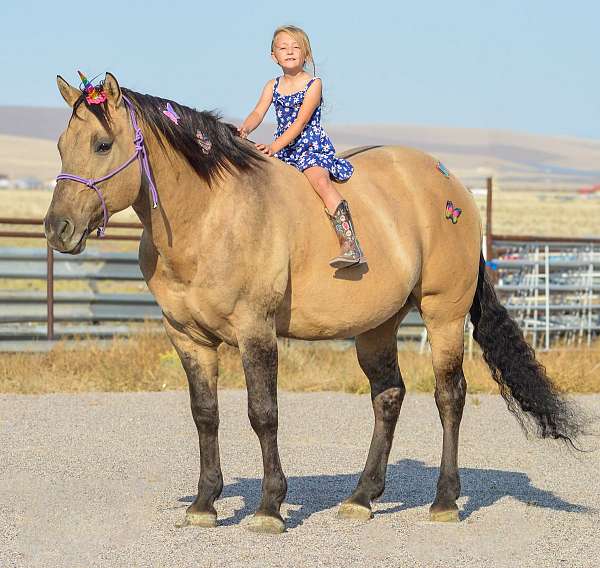 barrel-racing-quarter-horse