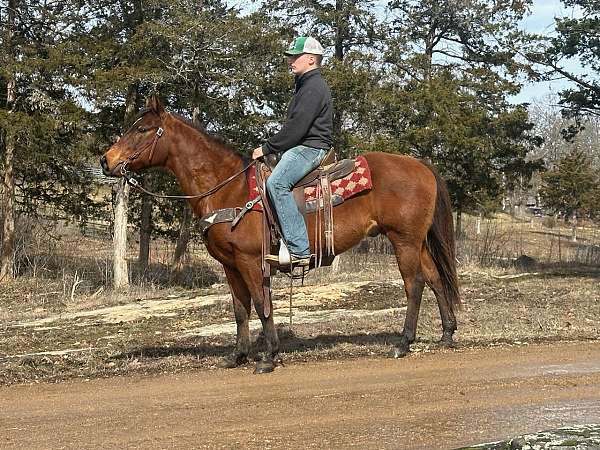 flashy-quarter-horse