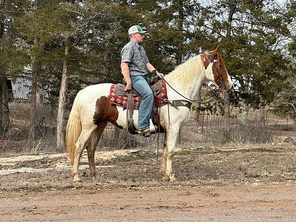 sorrel-white-paint-horse