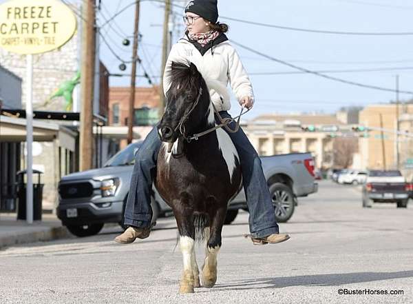 beginner-safe-quarter-pony