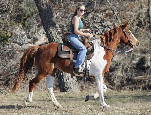 trail-paint-horse