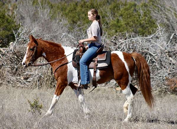 western-riding-paint-horse